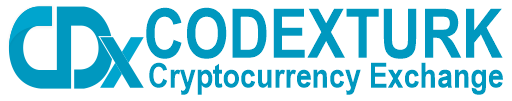 codexturk logo